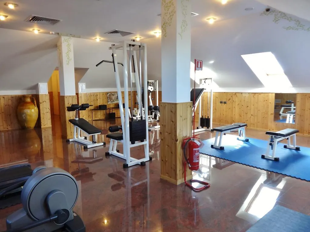 ****  Hotel Excelsior Magenta Italy