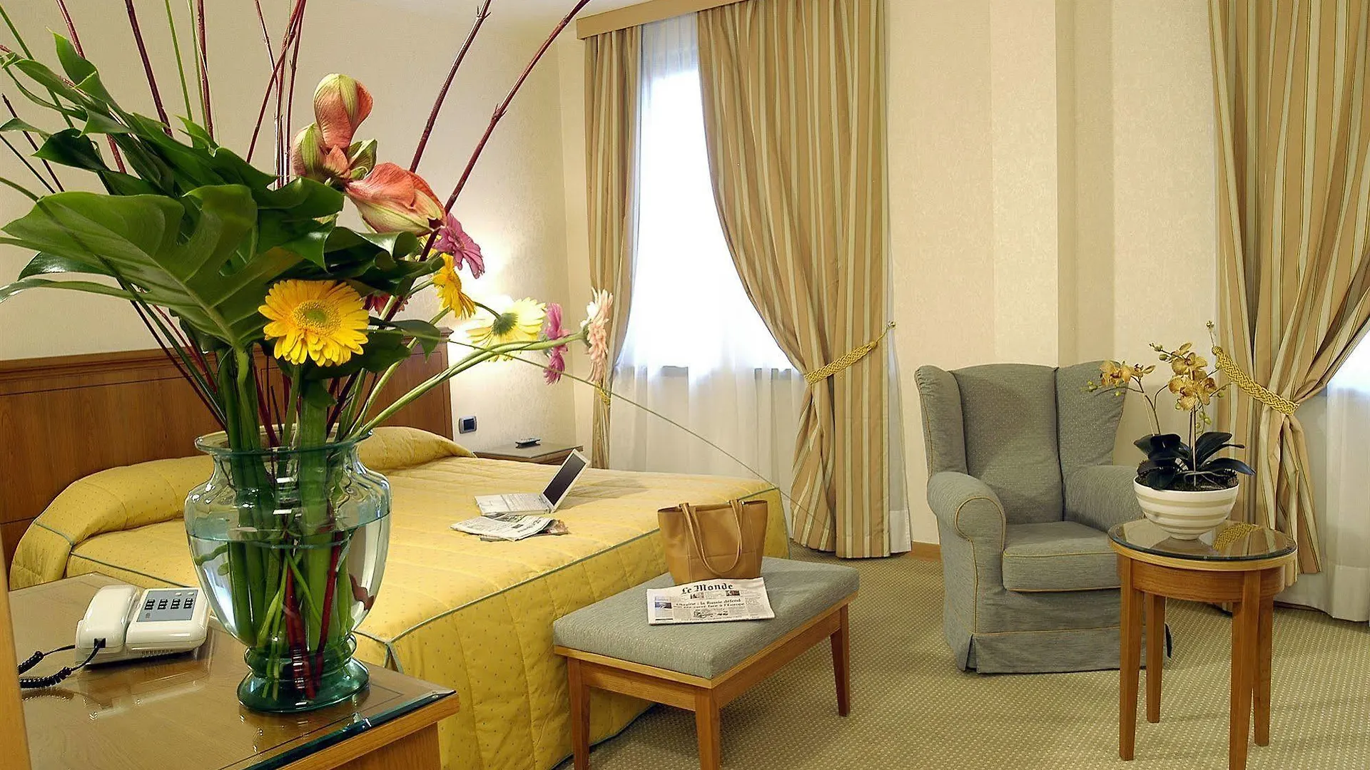 Hotel Excelsior Magenta